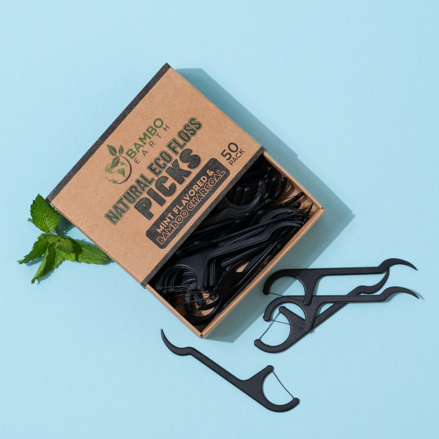 Floss Picks Charcoal & Mint 50 Pack