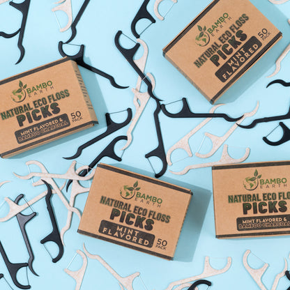 Floss Picks Charcoal & Mint 50 Pack