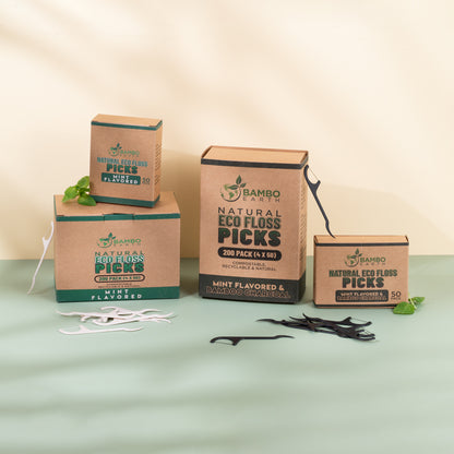 Floss Picks Charcoal & Mint 50 Pack
